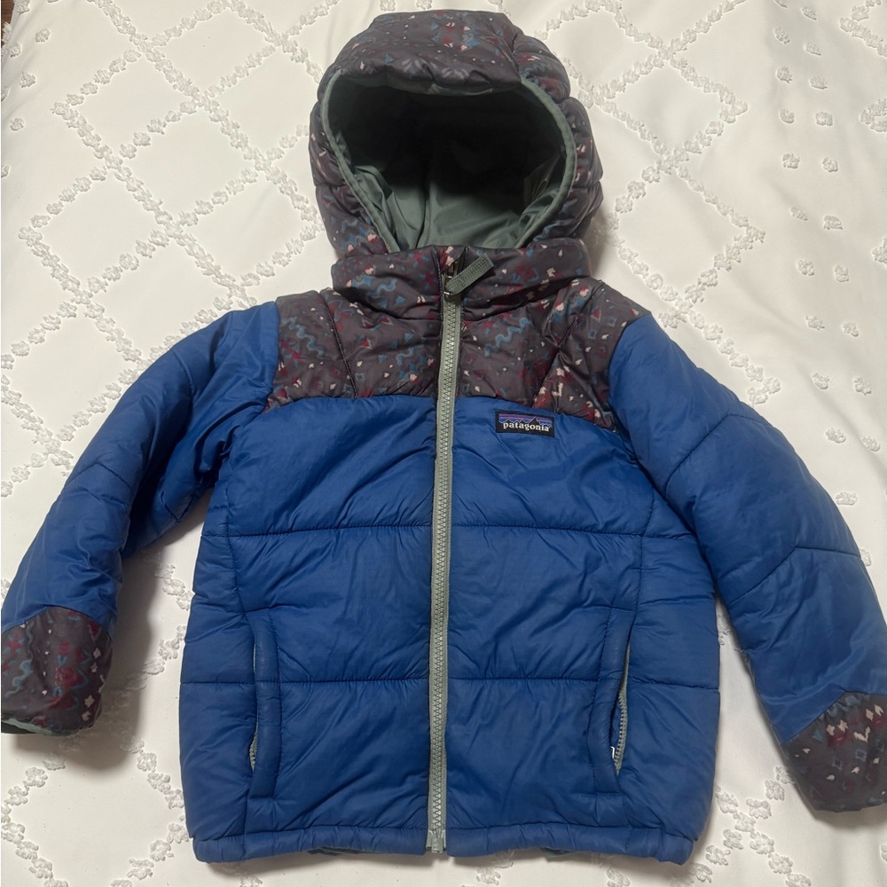 Patagonia Blue Puffer Jacket